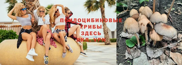 прущие грибы Алзамай